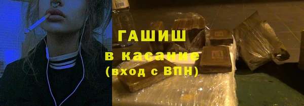прущие грибы Медногорск