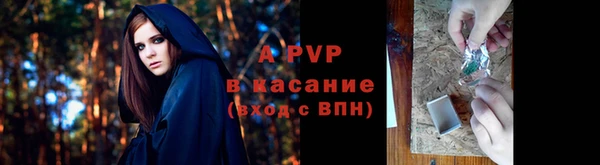 твердый Магадан