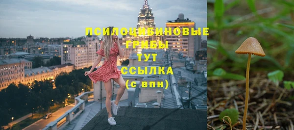бутират Магас