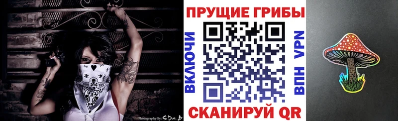 Купить  Духовщина  Псилоцибиновые грибы мухоморы 